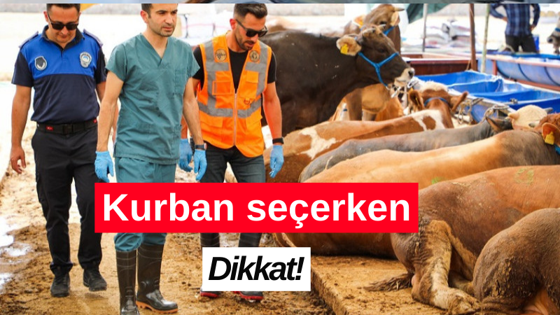 Kurban seçerken dikkat!