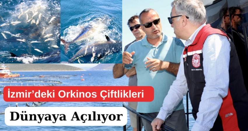İzmir’deki Orkinos Çiftlikleri Dünyaya Açılıyor