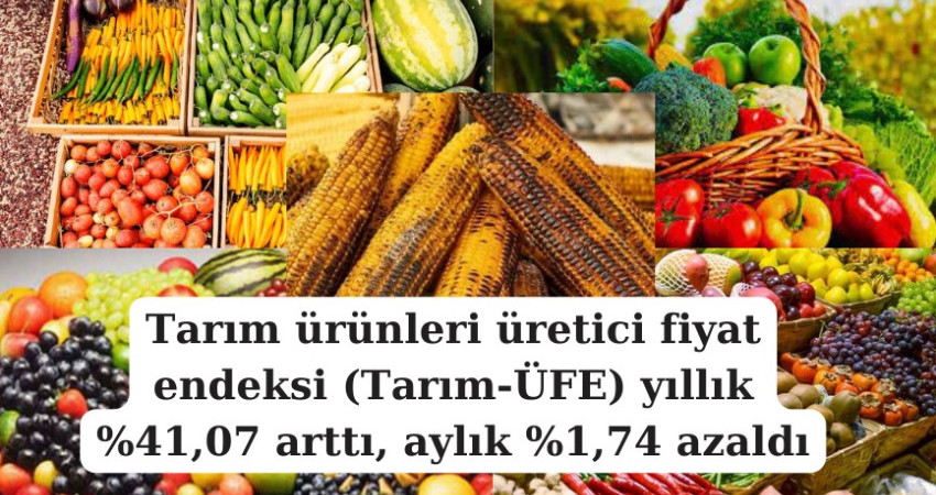 Tarım ürünleri üretici fiyat endeksi (Tarım-ÜFE) yıllık %41,07 arttı, aylık %1,74 azaldı