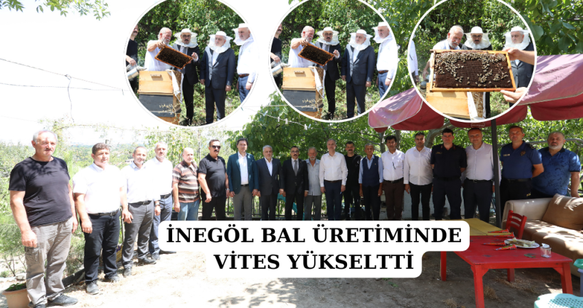 İNEGÖL BAL ÜRETİMİNDE VİTES YÜKSELTTİ