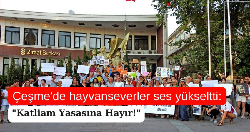 Çeşme'de hayvanseverler ses yükseltti: 