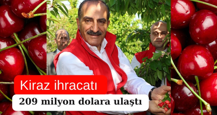 Kiraz ihracatı 209 milyon dolara ulaştı