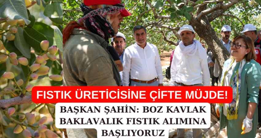 FISTIK ÜRETİCİSİNE ÇİFTE MÜJDE!