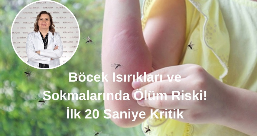 Böcek Isırıkları ve Sokmalarında Ölüm Riski! İlk 20 Saniye Kritik