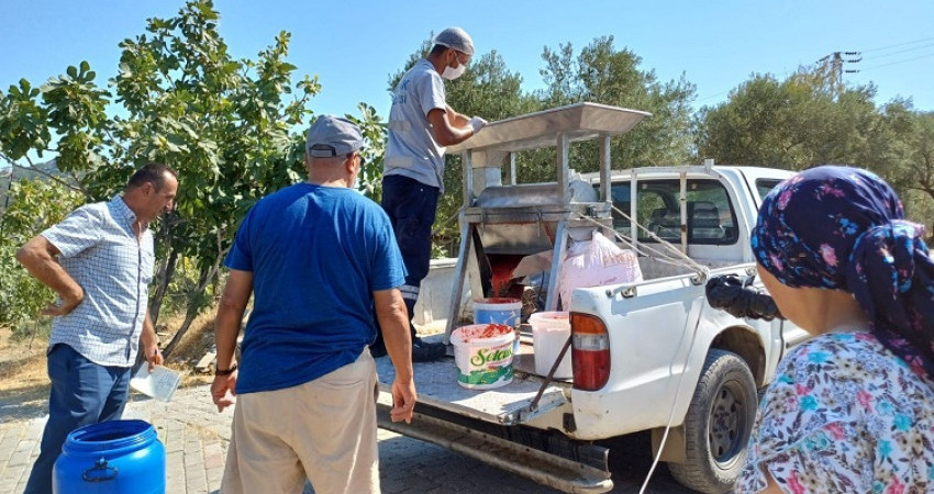 Efes Selçuk’ta salçalar ailece hazırlanıyor, belediye makine ile destek oluyor