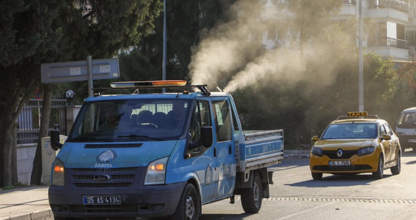 Buca Belediyesi, beyaz sineklere karşı ilaçlama başlattı