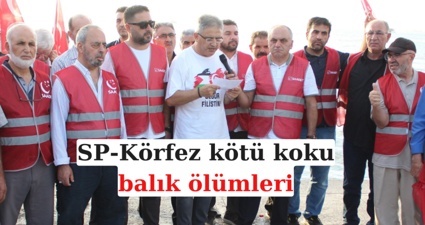 SP-Körfez kötü koku ve balık ölümleri