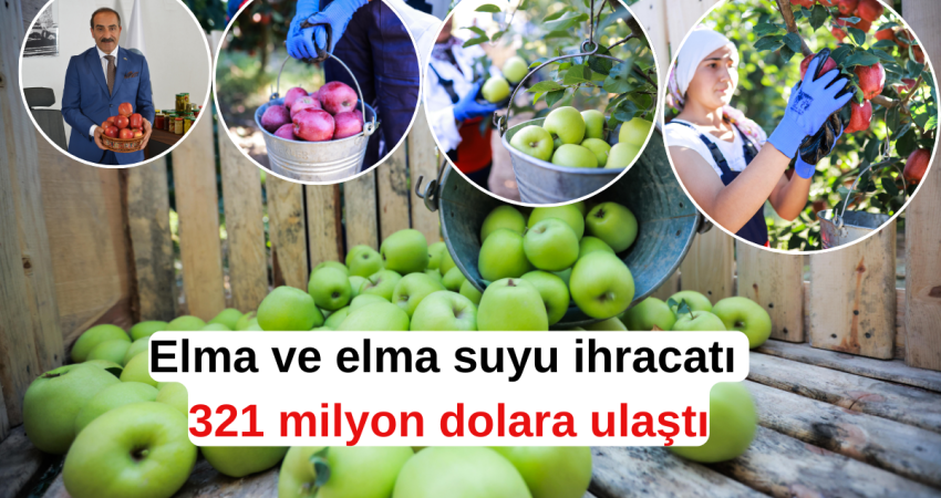 Elma ve elma suyu ihracatı 321 milyon dolara ulaştı