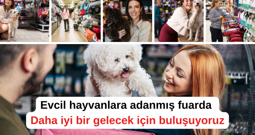 Evcil dostlarımız için daha iyi bir dünya