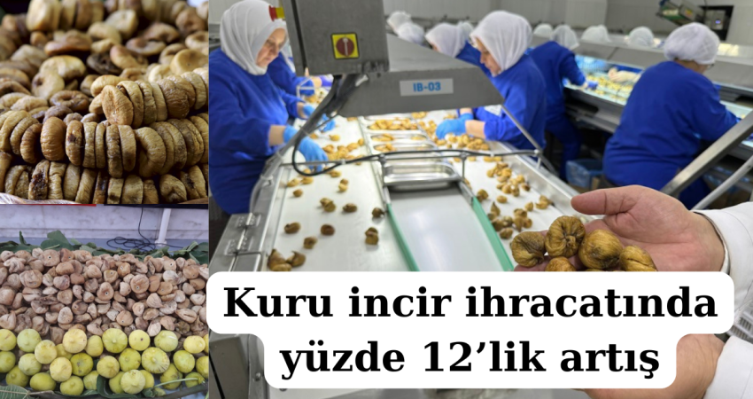 Kuru incir ihracatında yüzde 12’lik artış