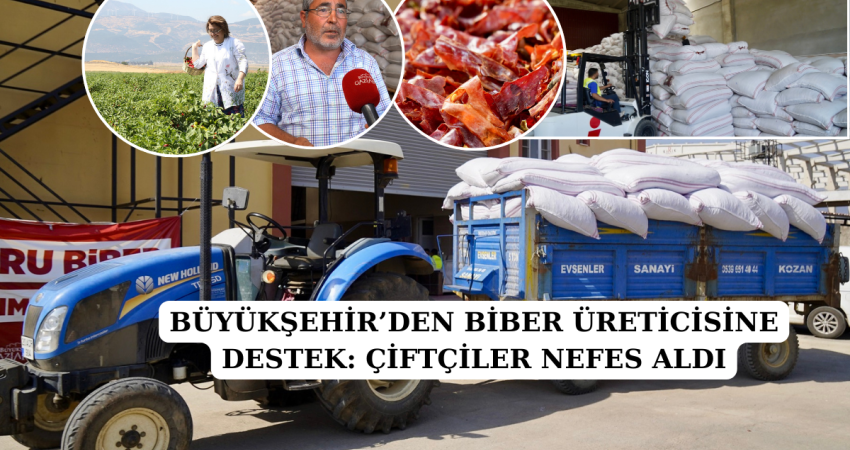 BÜYÜKŞEHİR’DEN BİBER ÜRETİCİSİNE DESTEK: ÇİFTÇİLER NEFES ALDI