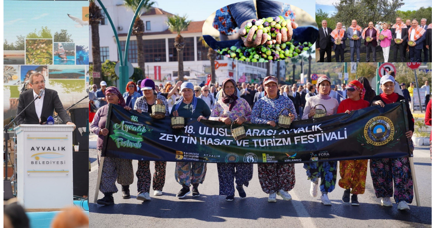 Uluslararası Ayvalık Zeytin Hasat ve Turizm Festivali