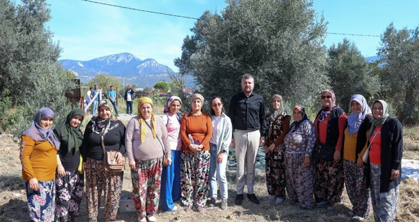 Buca Belediye Başkanı Görkem Duman, çiftçi kadınlarla ilk zeytin hasadına katıldı