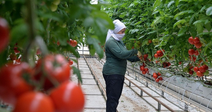 Anadolu Coğrafyasının Beyaz Altını Jeotermal