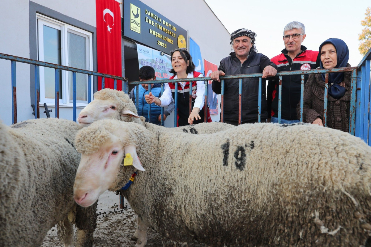 Aliağa Belediyesi’nden Üreticilere Koç Desteği