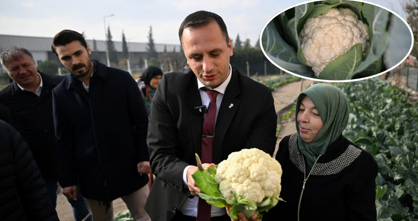 Kent Bostanı, kadınların elinde yeşerdi