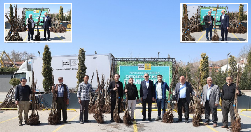 KONYA BÜYÜKŞEHİR TARIMSAL KALKINMA İÇİN BU SEZON 72 BİN MEYVE FİDANI DAĞITIYOR