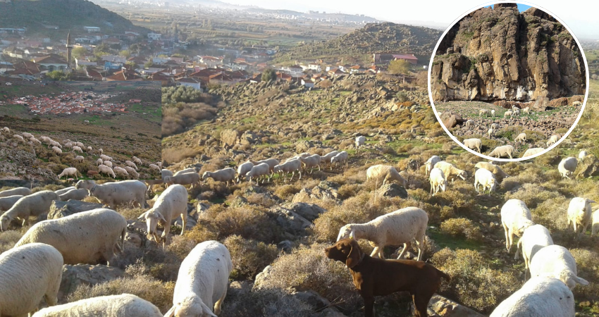 Nevim Sevinç: Doğa Mahallesi’nin Sesini Duysunlar, Bu Arazi Mera Olmalı!