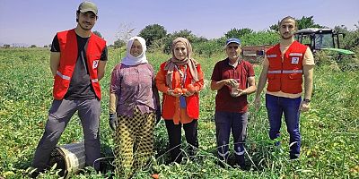 Türk Kızılay Manisa'dan Çiftçi ve Tarım İşçilerine Tarlada Aşure İkramı